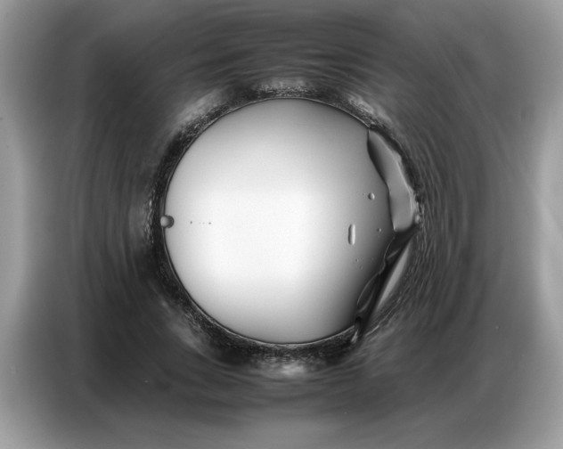 X0000086740735200704271650