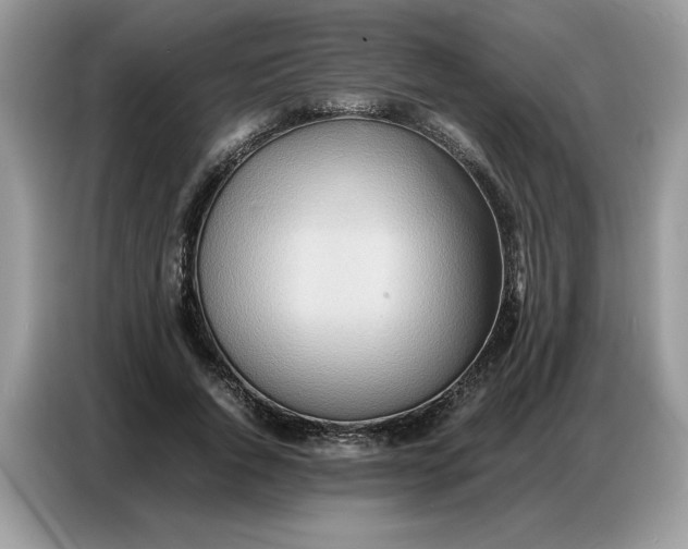 X0000086740736200704271650