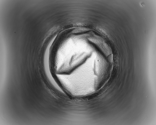 X0000086740738200704271650