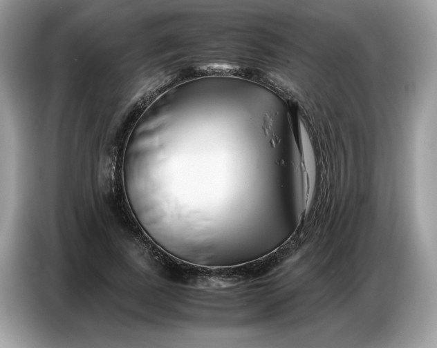 X0000086740739200704271650