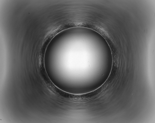 X0000086740740200704271650