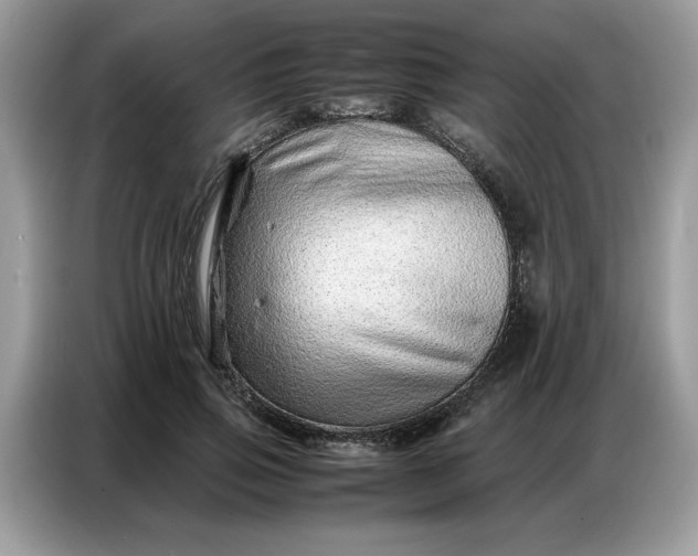 X0000086740741200704271650