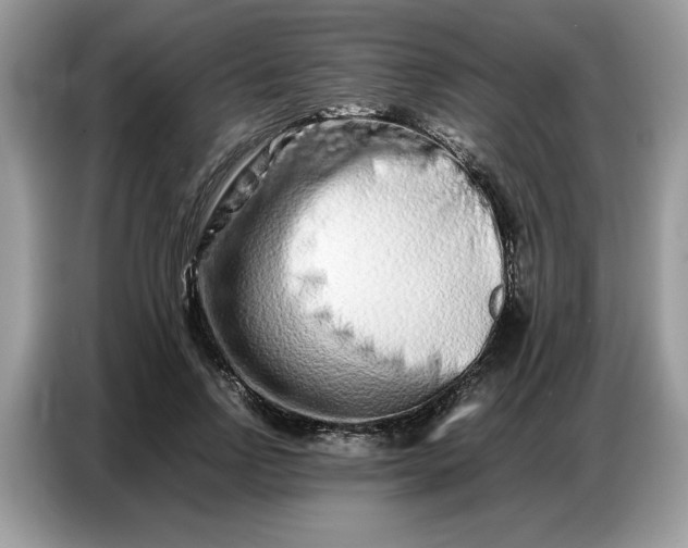 X0000086740742200704271650