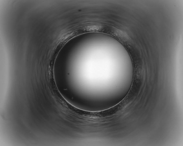 X0000086740743200704271650