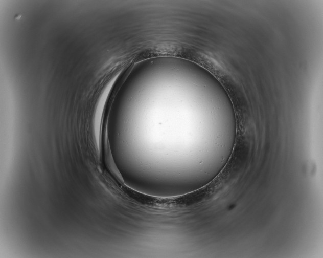 X0000086740744200704271650