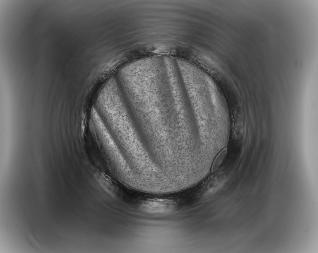 X0000086740748200704271650