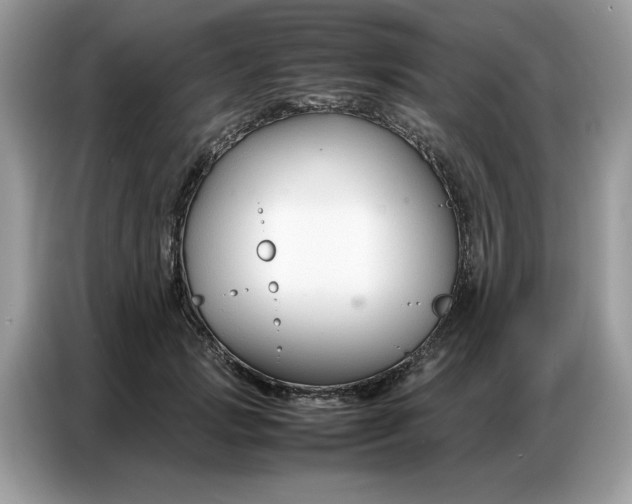 X0000086740749200704271650