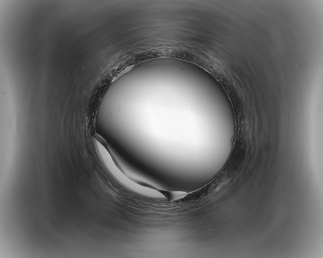 X0000086740750200704271650