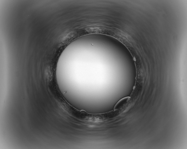 X0000086740751200704271650