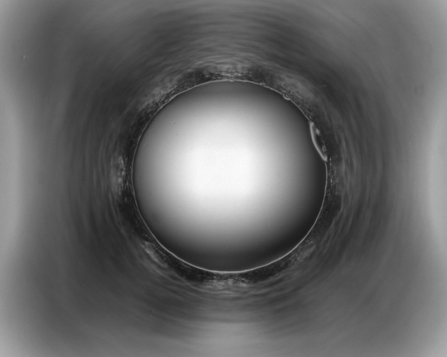 X0000086740752200704271650