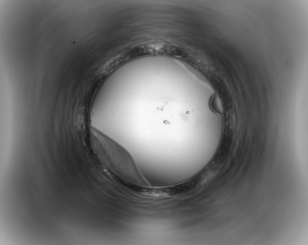 X0000086740754200704271650