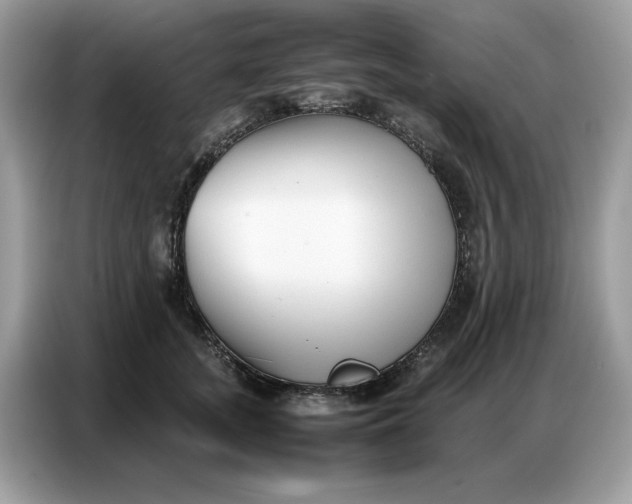 X0000086740755200704271650