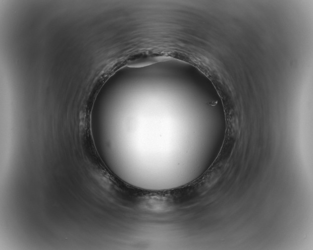 X0000086740756200704271650