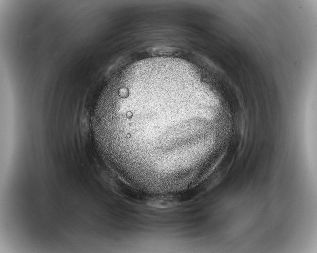 X0000086740761200704271650