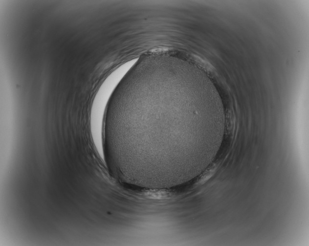 X0000086740762200704271650