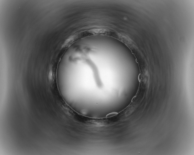 X0000086740763200704271650