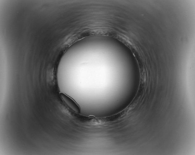 X0000086740764200704271650