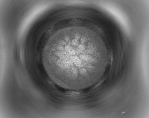 X0000086740765200704271650