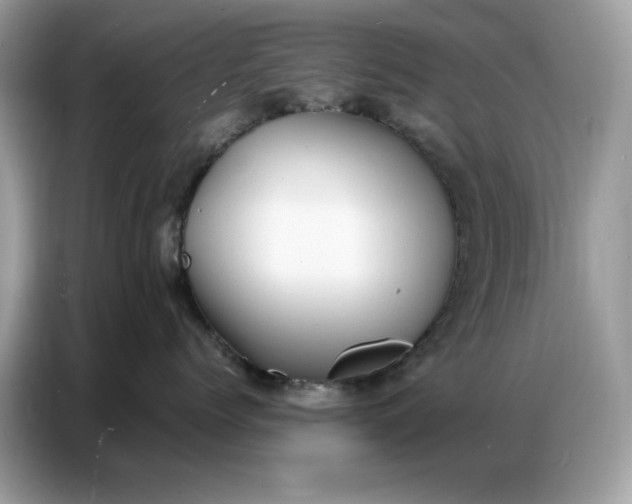 X0000086740768200704271650