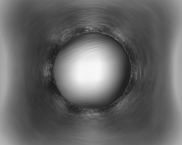 X0000086740770200704271650