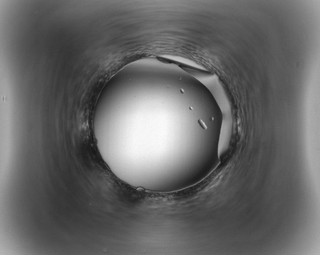 X0000086740771200704271650