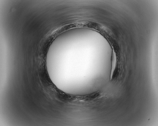 X0000086740773200704271650