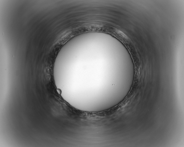 X0000086740774200704271649