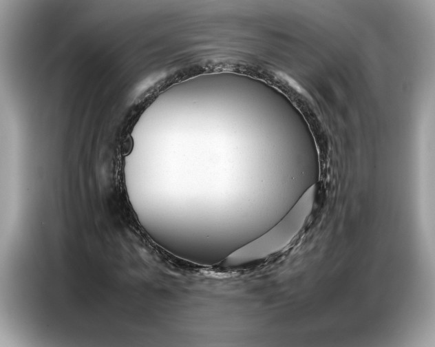 X0000086740775200704271649