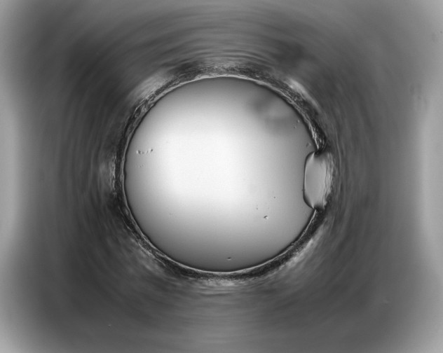 X0000086740777200704271649