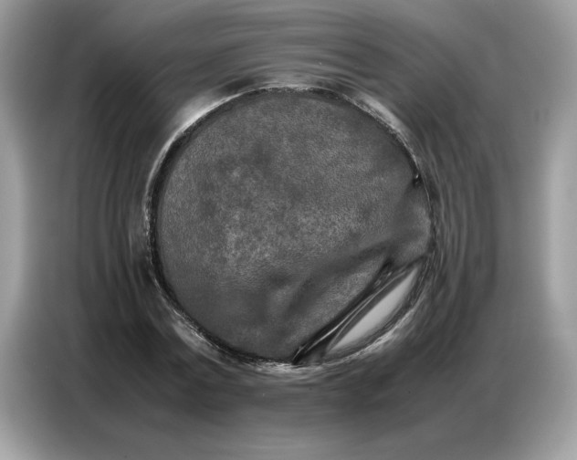 X0000086740779200704271649