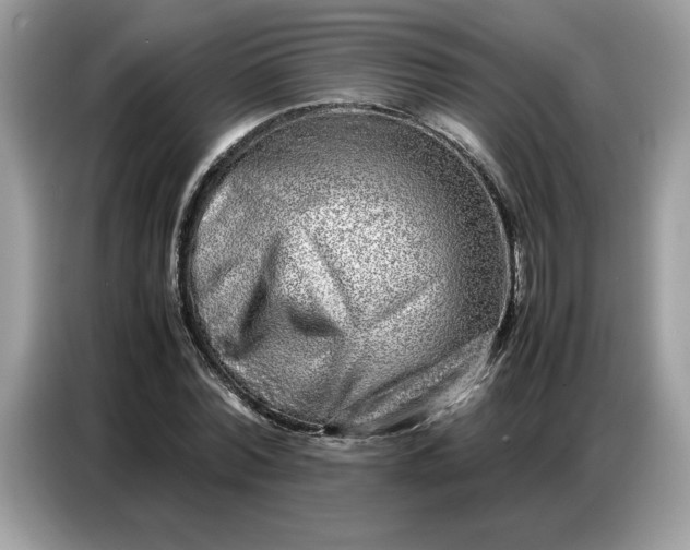 X0000086740780200704271649