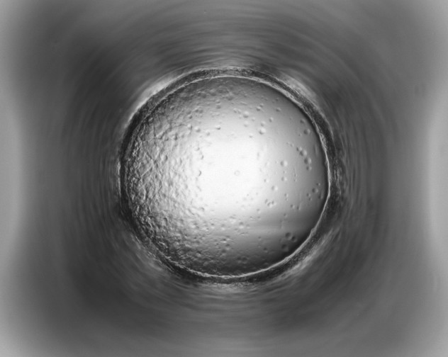 X0000086740781200704271649