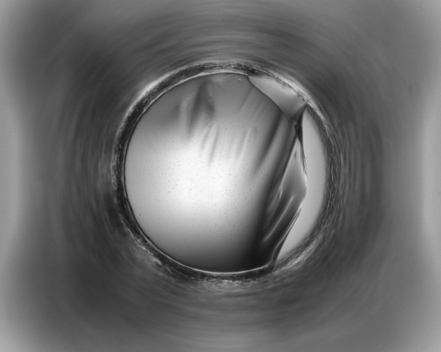 X0000086740783200704271649