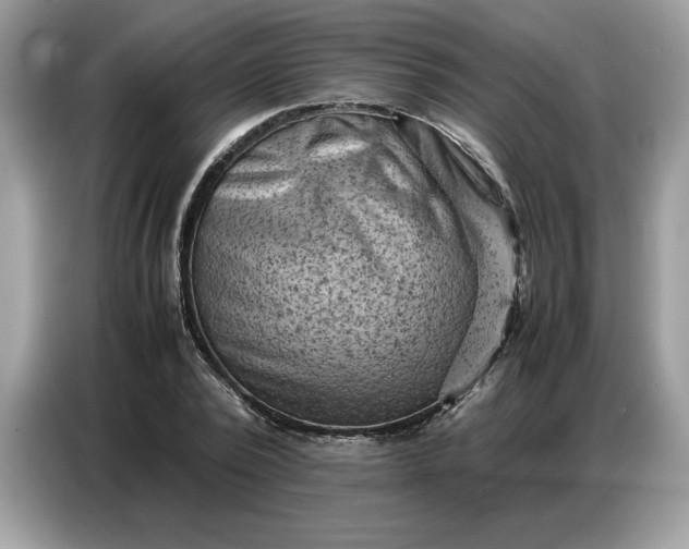 X0000086740784200704271649