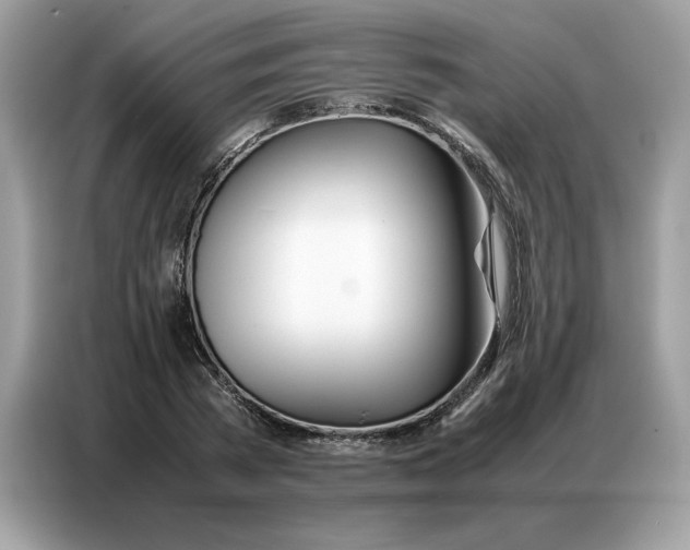 X0000086740785200704271649