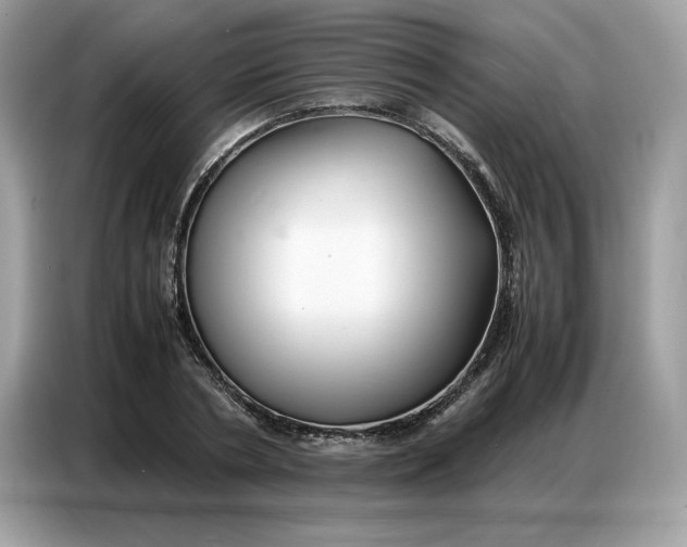 X0000086740786200704271649