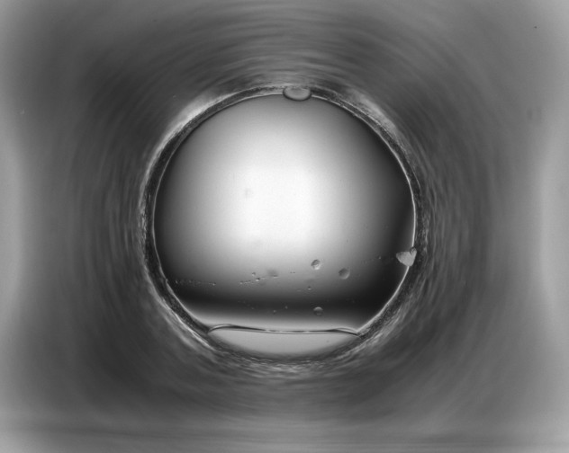 X0000086740787200704271649