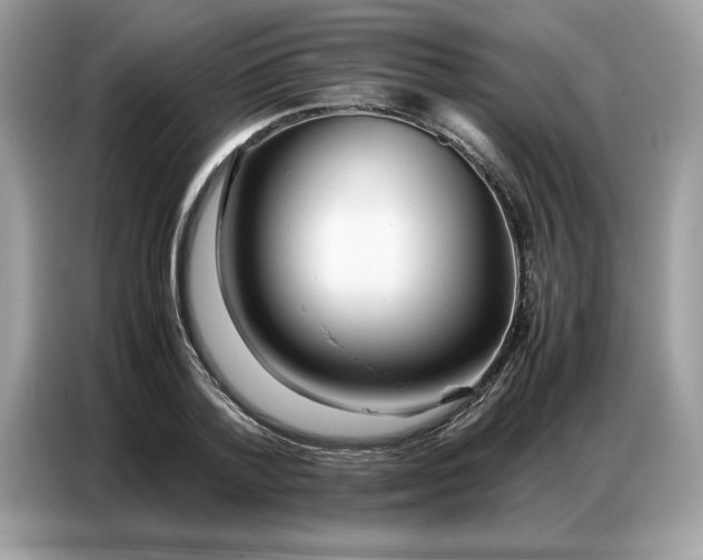 X0000086740788200704271649