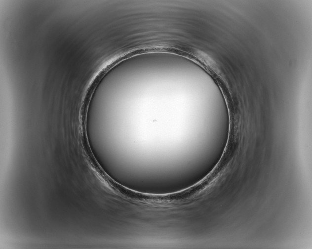 X0000086740789200704271649