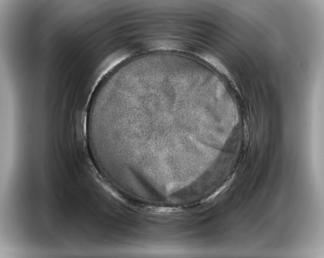 X0000086740790200704271649