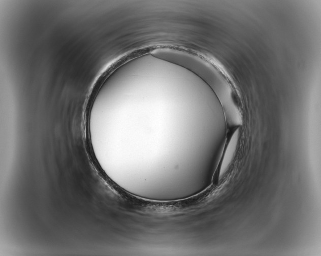 X0000086740791200704271649