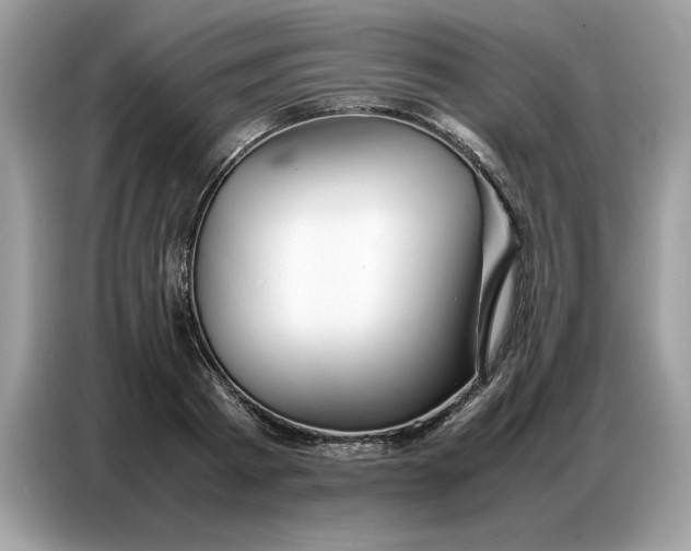 X0000086740793200704271649