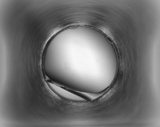 X0000086740797200704271649