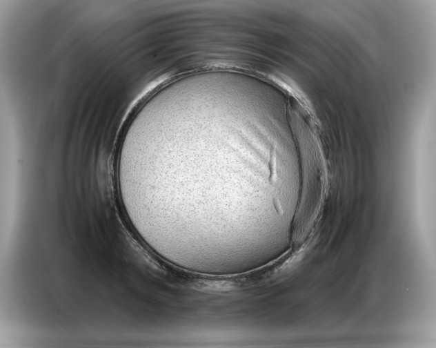 X0000086740798200704271649