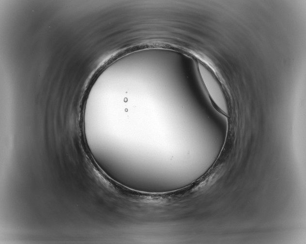 X0000086740799200704271649