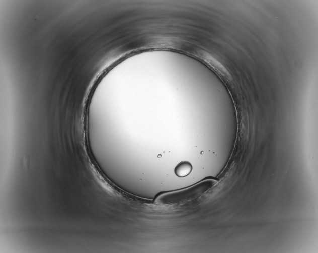 X0000086740800200704271649