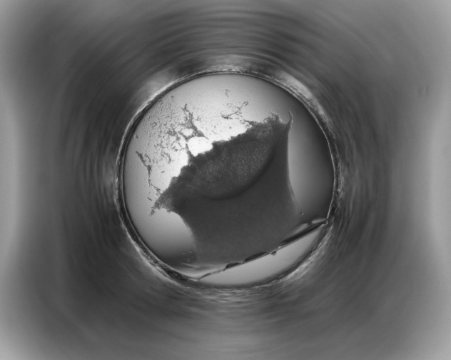 X0000086740802200704271649