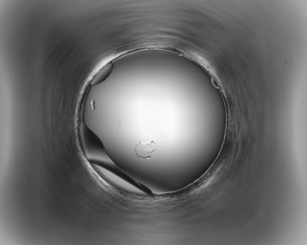 X0000086740803200704271649