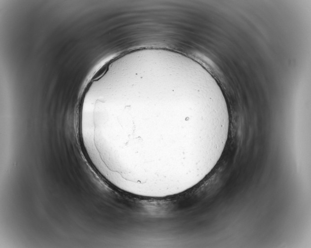 X0000086740804200704271649