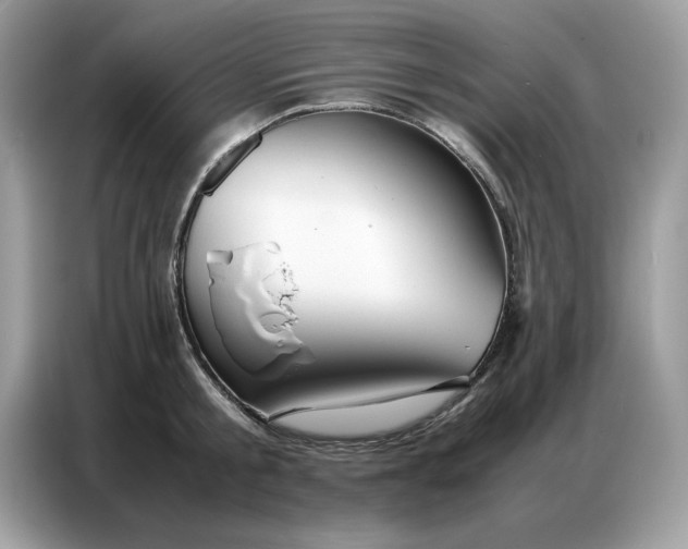 X0000086740805200704271649